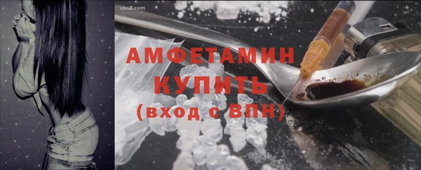 крисы Бронницы