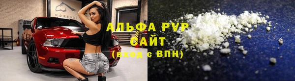 ГАЛЛЮЦИНОГЕННЫЕ ГРИБЫ Бородино
