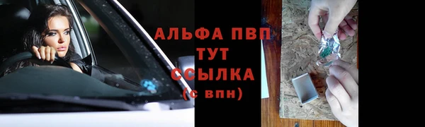 ГАЛЛЮЦИНОГЕННЫЕ ГРИБЫ Бородино