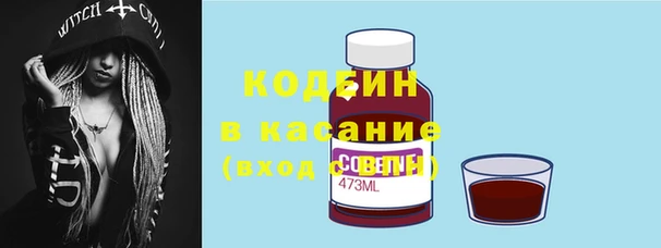 ГАЛЛЮЦИНОГЕННЫЕ ГРИБЫ Бородино