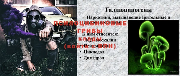 ГАЛЛЮЦИНОГЕННЫЕ ГРИБЫ Бородино