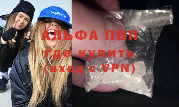 ГАЛЛЮЦИНОГЕННЫЕ ГРИБЫ Бородино