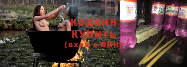 крисы Бронницы