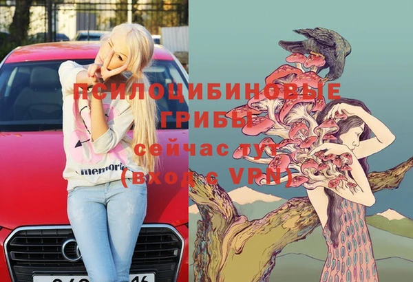 крисы Бронницы