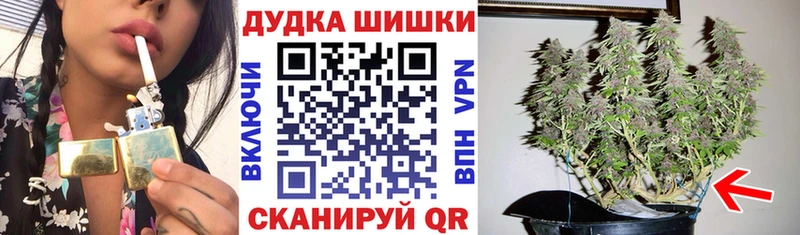 Купить закладки  Порхов  Конопля Ganja 
